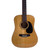 Used Recording King RP-06 12 STRING DREAD Solid Top Acoustic Guitar 40090-S000080033 View 1