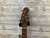 Used Sterling by Ernie Ball CUTLASS HSS  Electric Guitar 41112-S000097739 View 3