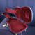 Used Godin GODIN HARDSHELL CASE Guitar Case 41140-S000131585 View 2