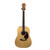 Used Spectrum ACOUSTIC Acoustic Guitar Natural 40083-S000153371 View 2
