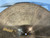 Used Paiste 404 20 RIDE Ride Cymbal 20" 40012-S000304972 View 7
