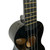 Used Eddy Finn EF-BK Ukulele Black 40009-S000307684 View 4