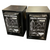 Used Behringer TRUTH B2030A PAIR Speaker Cabinet 40083-S000153621 View 2