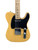Used Fender MIM TELECASTER SP ED Electric Guitar Yellow 6-String 41136-S000153627 View 1