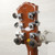 Used Washburn P-3 Double Cut Electric Guitar Wood 40015-S000330146 View 18