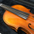 Used Eastman VA80 14" Viola Outfit 40051-S000116021 View 4
