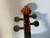 Used Suzuki 3/4 ANTONIUS STRADIVARIUS COPY NO 8 Violin 3/4 Size 40012-S000305783 View 4