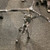 Used NO BRAND (Brandless Product) SNARE STAND Snare Stand 40111-S000189410 View 2