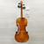 Used E.r. Pfretzschner Violin 1/2 Size 40015-S000330640 View 9