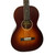 Recording King Acoustic Guitars View 2