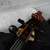 Used RONALD SACHS 4/4 Cello 40042-S000261971 View 2