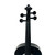 Used Rozannas Violin 3/4 Size 41119-S000036515 View 3