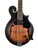 Used Ortega RMFE30 A/E F-Style Mandolin 41115-S000114309 View 1