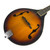 Used Rogue RM-100A Mandolin 40090-S000080933 View 2