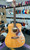 Used Yamaha FG-200 Vintage Solid Top Acoustic Guitar Natural 41131-S000010649 View 1
