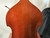 Used Samuel Shen SB100 1/4 UPRIGHT BASS 1/4 Size Orchestral Instrument 1/4 Size 40012-S000306689 View 20
