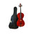 Used Cecilio CCO-100 W/BAG Cello 4/4 Size 40009-S000309083 View 1
