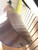 Used Gibson LG-0 1966 Vintage Solid Top Acoustic Guitar Natural 41123-S000110429 View 6