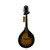 Used Washburn M1S Mandolin 40009-S000309456 View 1