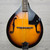 Used Rogue ROGUE MANDOLIN Mandolin 41124-S000207292 View 1