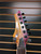 Used LEO JAYMZ MONSOON Electric Guitar Purple 6-String 41116-S000050085 View 2