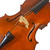 Used SSK VC79 3/4 Cello 40090-S000081526 View 6