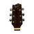Used Fender 1980S F-230 MIJ ACOUSTIC GUITAR Vintage Solid Top Acoustic Guitar Natural 41126-S000091439 View 3