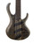 Used Ibanez BTB805MS 5-String Bass Guitar W/Case -AS IS DING 41115-S000114923 View 1