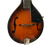 Used DIXON DM-7 Mandolin 40009-S000309981 View 2