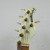 Used Ernie Ball Musicman Sting Ray 5 HH Bass Guitar White 5-String 40042-S000263778 View 2