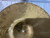 Used Excel 15 INCH CRASH Crash Cymbal 15" 40012-S000308104 View 8