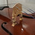 Used Cremona 3/4 Upright Bass - Local Pickup Only 40015-S000332963 View 10