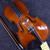 Used Cremona SVA200 VIOLA Viola 16" 40123-S000134096 View 2
