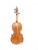 Used Strobel MA 85-15 VIOLA Viola 15" 41130-S000010405 View 2