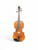 Used Strobel MA 85-15 VIOLA Viola 15" 41130-S000010405 View 1