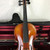 Used Scherl & Roth PFRETZSCHNER  1966 MODEL 301 4/4 VIOLIN Violin 4/4 Size 41128-S000109715 View 2