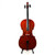Used Cecilio CCO-100 4/4 Cello View 1