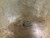 Used Zildjian 20" ZBT RIDE Cymbal 41138-S000098828 View 2