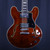 Used Firefly 12-STRING SEMI-HOLLOW Semi-Hollow Electric Guitar Other 12-String 40123-S000134716 View 1