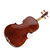 Used 4/4 VIOLIN Violin 4/4 Size View 2