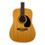 Used Simon & Patrick Woodland Pro Spruce SG A3T Acoustic Guitar Natural 41117-S000053553 View 1