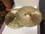 Used Paiste DARK CRISP HIHAT 14IN Hi Hat Cymbals 14" 40107-S000155690 View 1