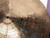 Used Paiste 18IN THIN CHINA China Cymbal 18" 40107-S000155694 View 2