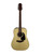 Used Takamine GLD12ENS A/E DREAD Spruce Top Acoustic Guitar 41115-S000115586 View 2