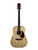 Used Cort Earth 60 OP Acoustic Guitar  41115-S000115589 View 2