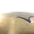 Used Zildjian 20 Inch A Custom Flat Top Ride Cymbal 41119-S000037420 View 1