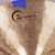 Used Dream Bliss 15 Inch Hi Hats Hi Hat Cymbals 15" 40042-S000266137 View 2