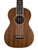 Used Fender Zuma Concert Ukulele 41115-S000115799 View 1