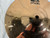 Used Paiste ALPHA METAL SPLASH 10IN Splash Cymbal 10" 40012-S000310108 View 3
