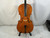 Used Samuel Shen SC-100 4/4 Cello 4/4 Size 40012-S000310124 View 1